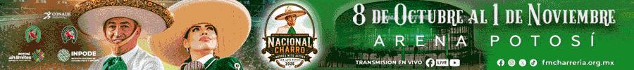 Banner publicitario
